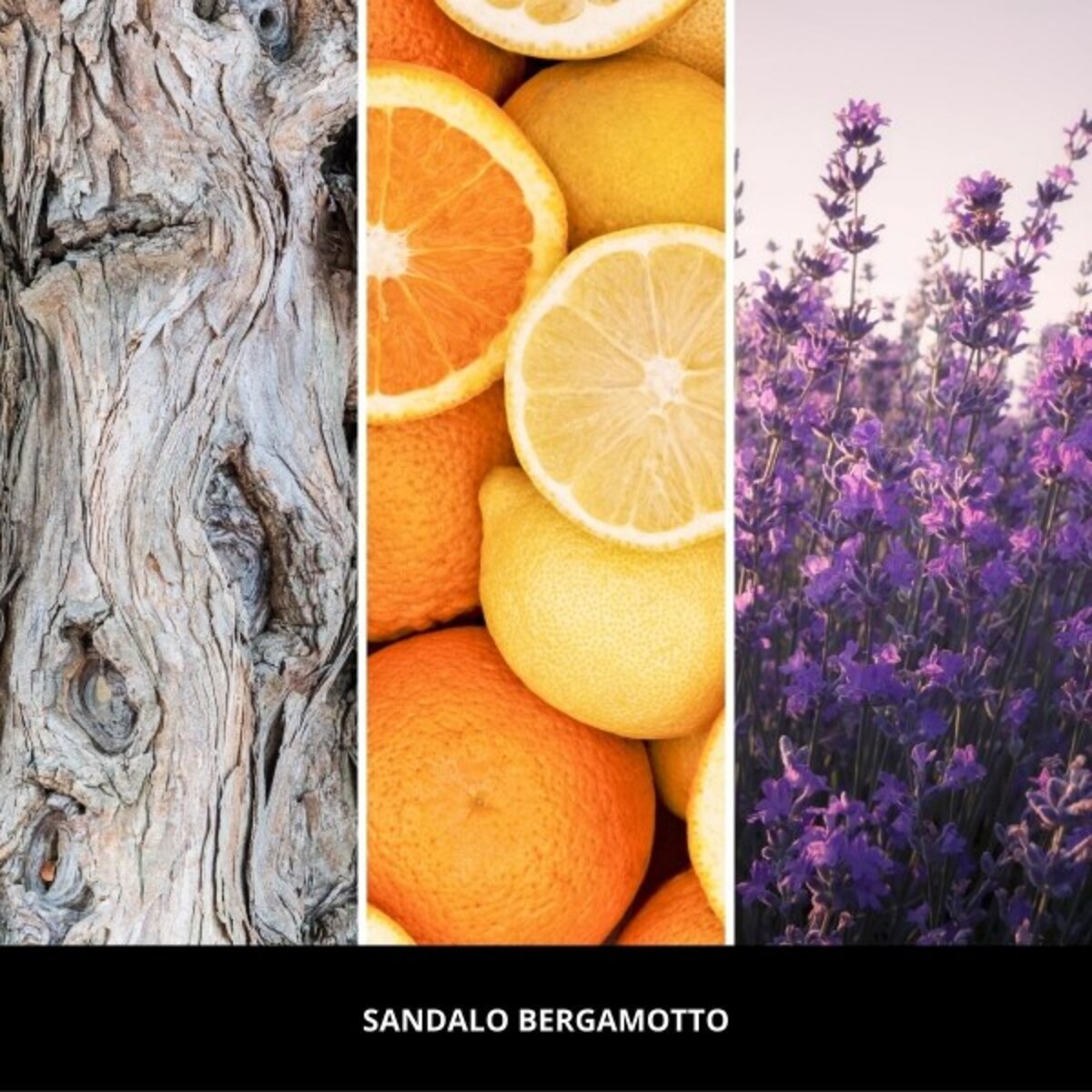 Millefiori pałeczki 250ml SANDALO BERGAMOTTO