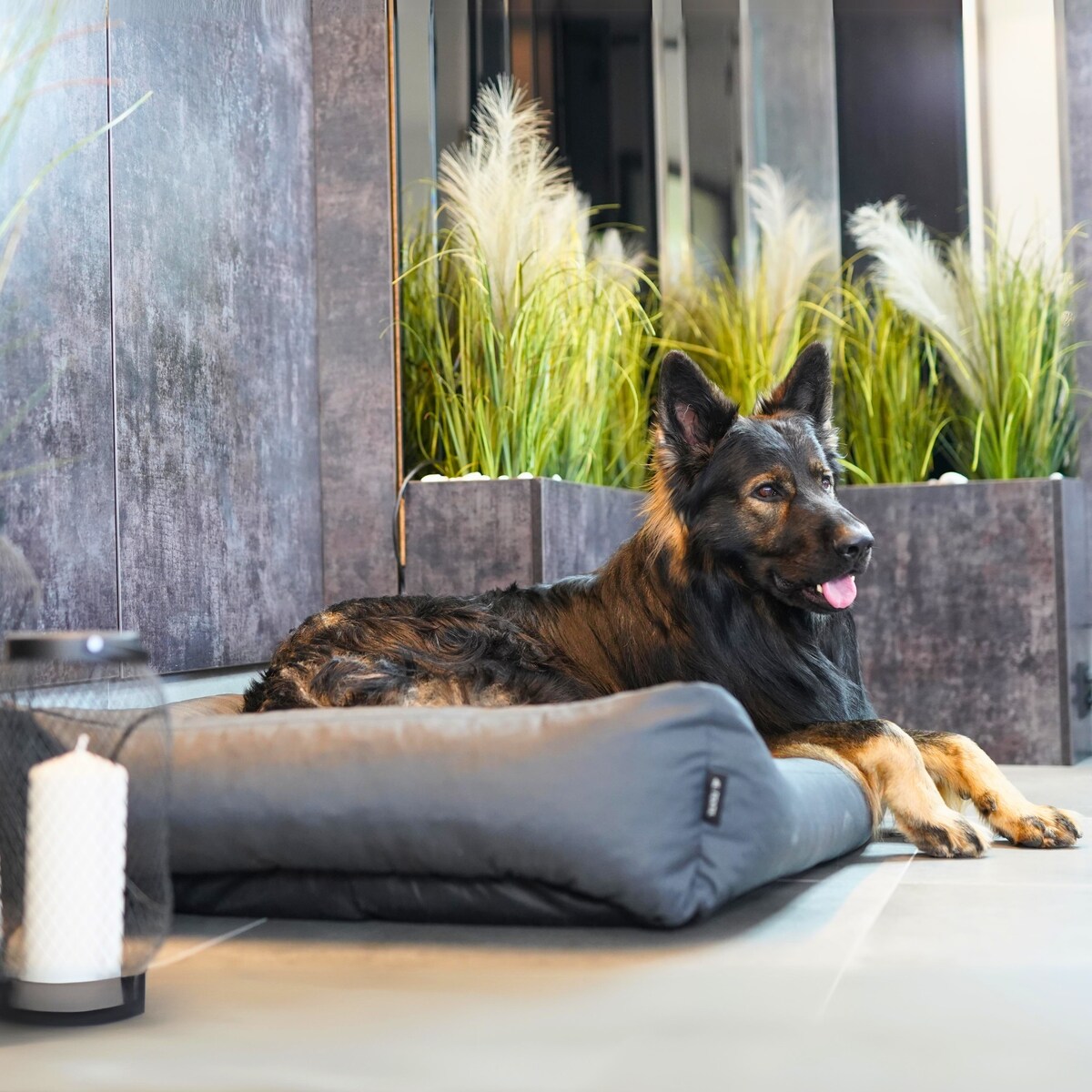 Wodoodporne legowisko dla psa KOKO, 80x60 cm, Grafit