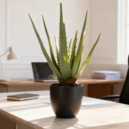 Roślina Sztuczna Aloes W Doniczce 45 Cm Wysokości Zielona Jak Żywa Ozdoba