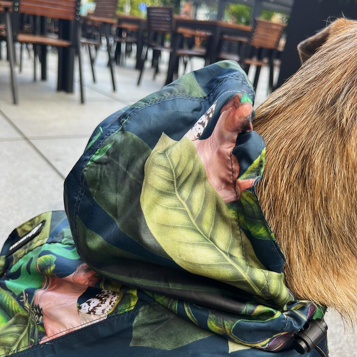 Płaszcz przeciwdeszczowy dla psa Psikolaż - Rozmiar: L