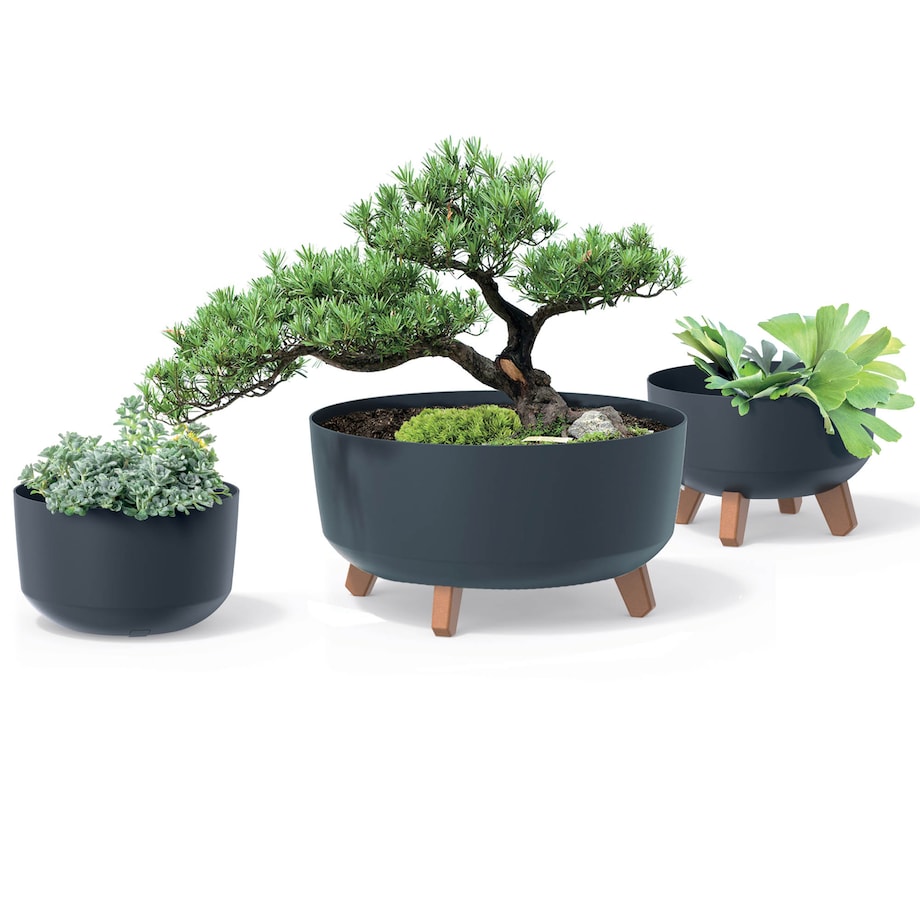 Donica Misa Na Nóżkach Doniczka Antracyt 23,8 Cm