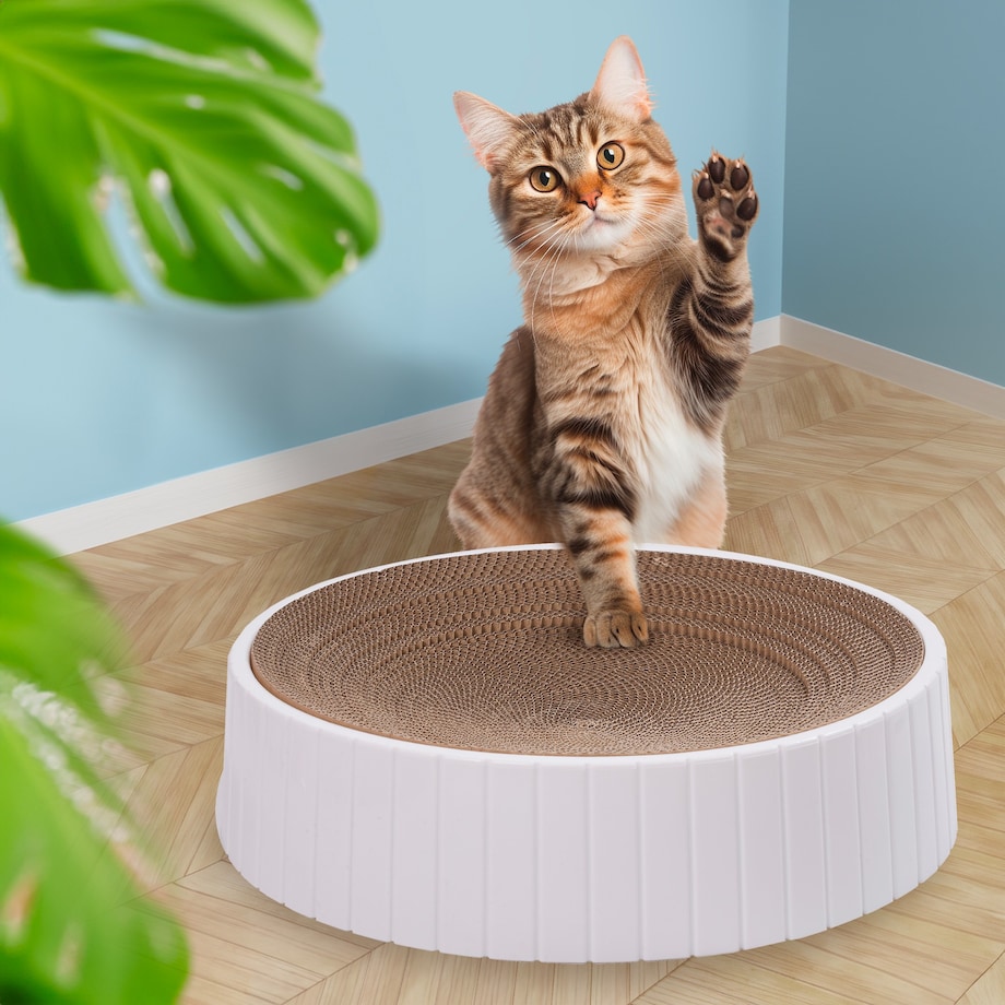 Drapak Dla Kota Z Tekturki Duży Do Drapania Zabawka Kot Leżący Okrągły