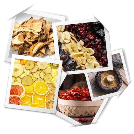 Suszarka do grzybów, owoców i warzyw TERMOOBIEG 369100 Berdsen