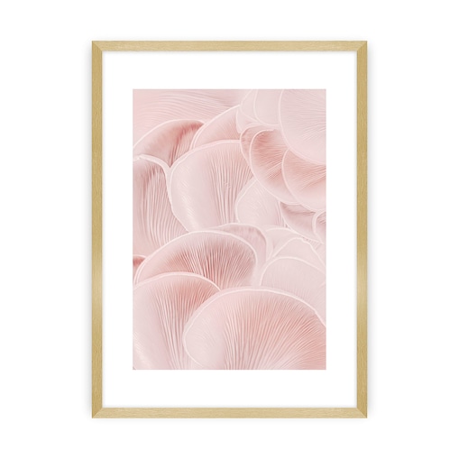 Plakat Pastel Pink I, 50 x 70 cm, Ramka: Złota