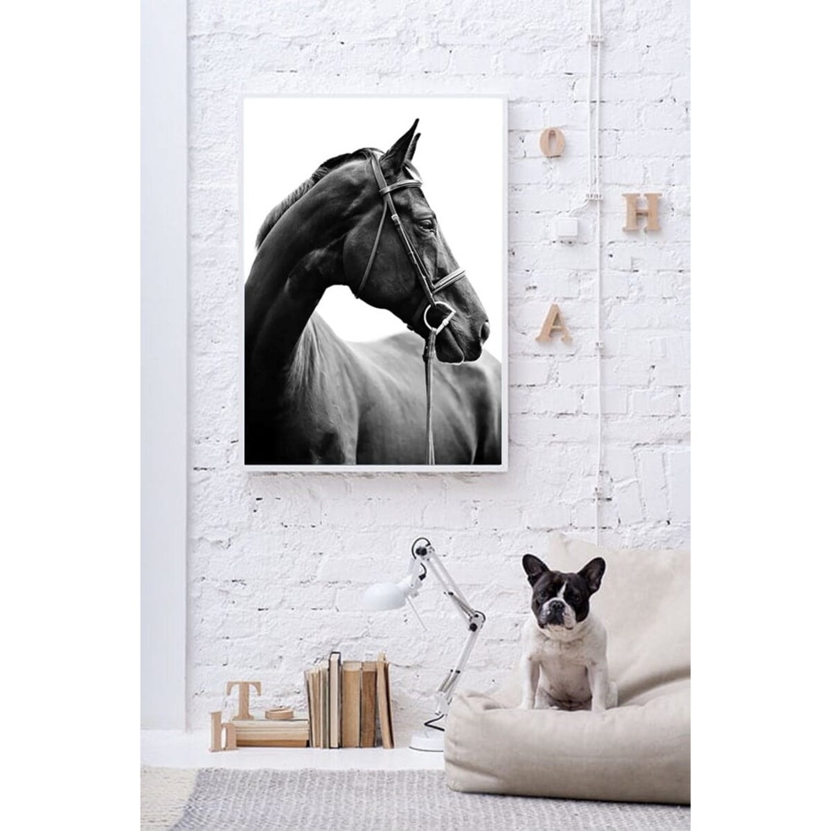 Poster Story, Plakat, Obraz - Profil Młodego Konia, wymiary 30 x 42 cm