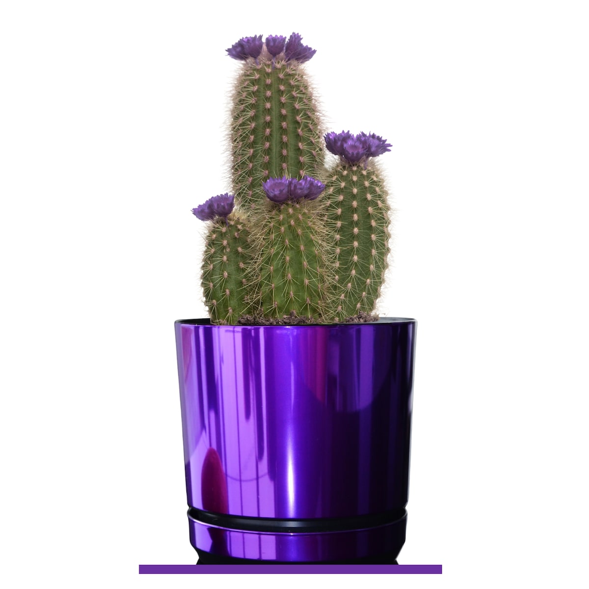 26 cm wzór FIOLETOWY BŁYSZCZĄCY Doniczka z podstawką glamour wysoki połysk metaliczny wrzosy lawenda krokusy storczyk orchidea