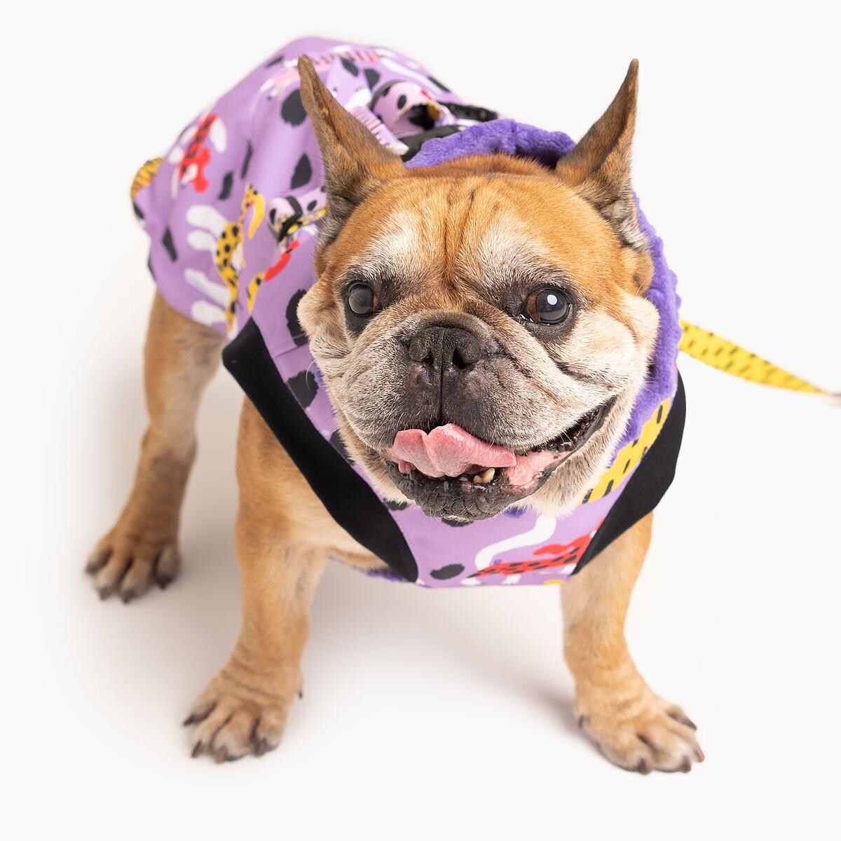 Kurtka dla psa "Pieski floreski" - Rozmiar: XL