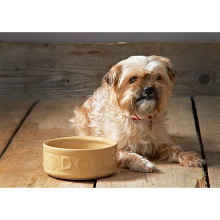 Miska z napisem dla psa Petware Cane, 25 cm, Mason Cash