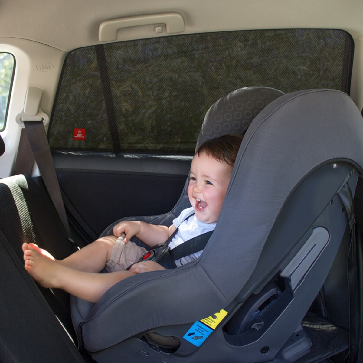 Roleta przeciwsłoneczna do samochodu, zestaw 2 szt., czarny, Royal Rascals