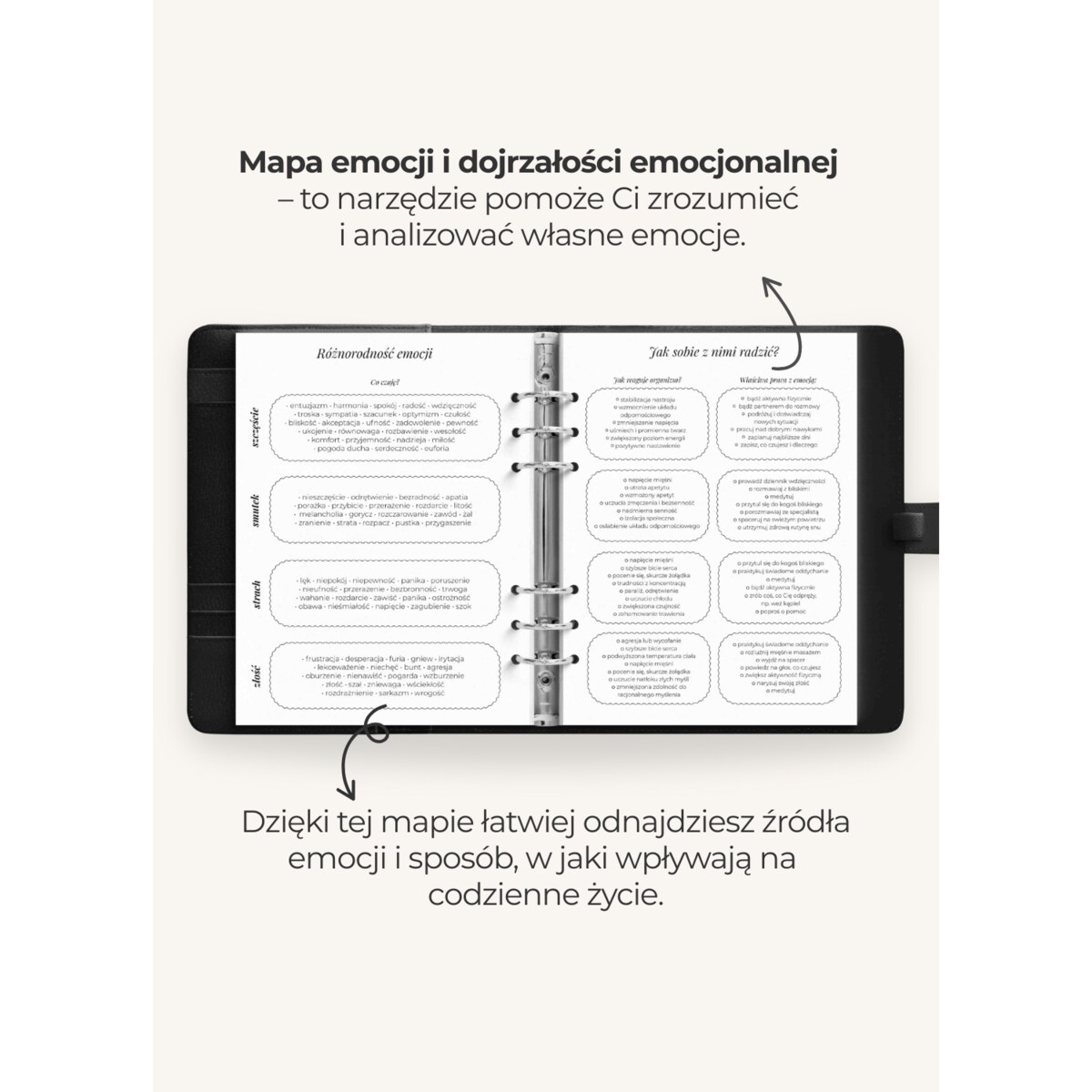 Wkład – Planner Dzienny