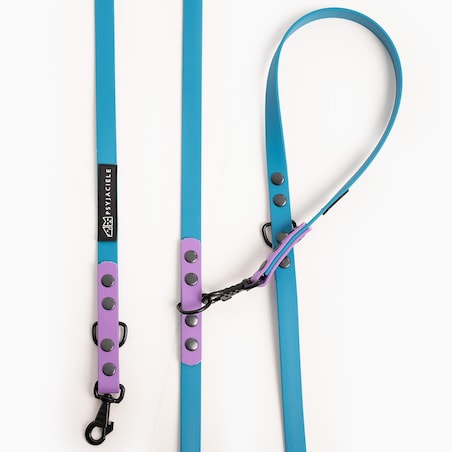 Smycz przepinana Biothane® dla psa lub kota "Turquoise with Lilac" - Rozmiar: L, Szerokość taśmy: 19mm