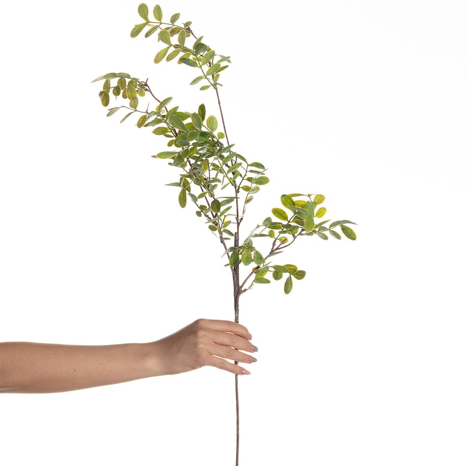 Gałązka Green Twig 100cm, 20 x 5 x 100 cm