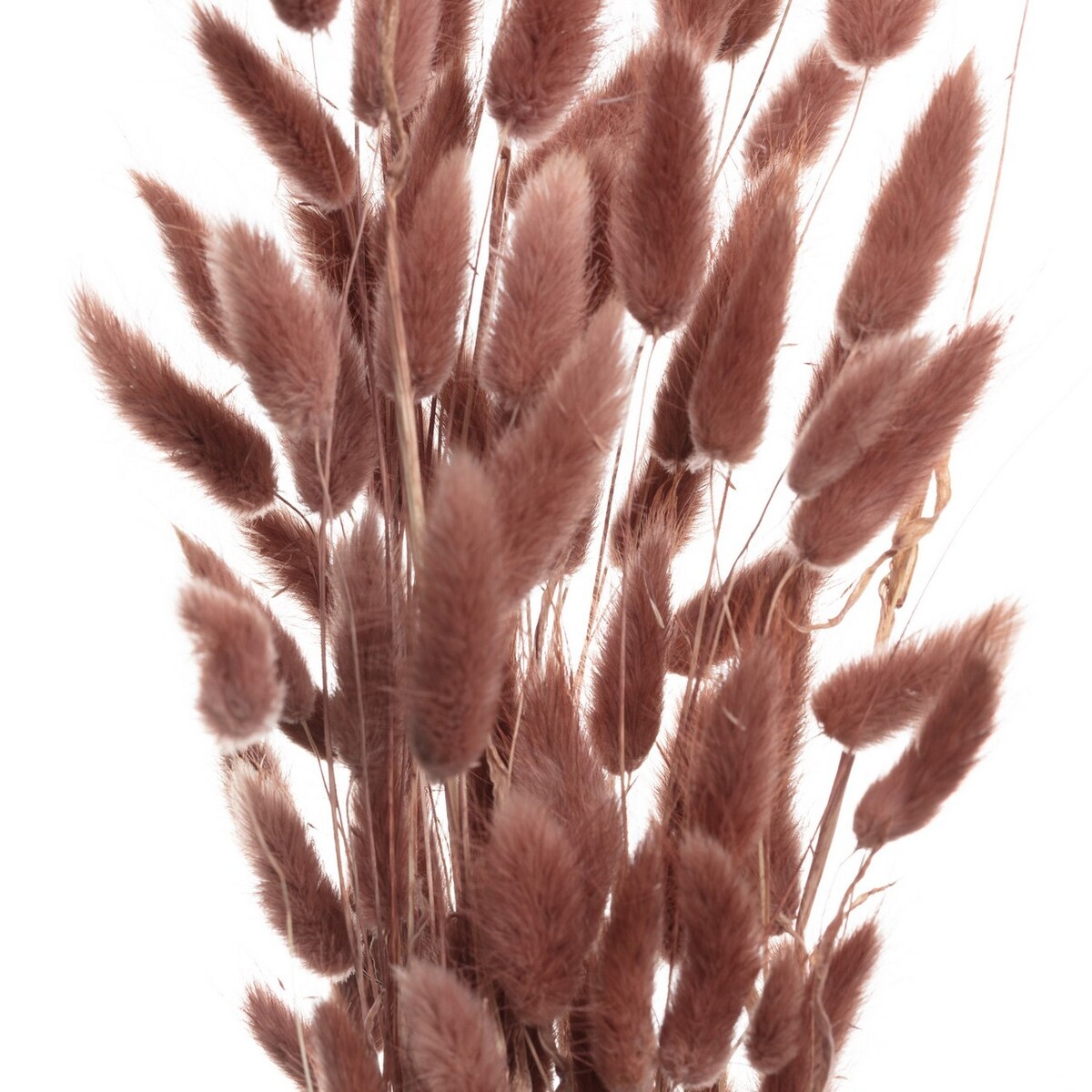 Bukiet Dmuszka 60cm dusty pink, 5 x 5 x 60 cm