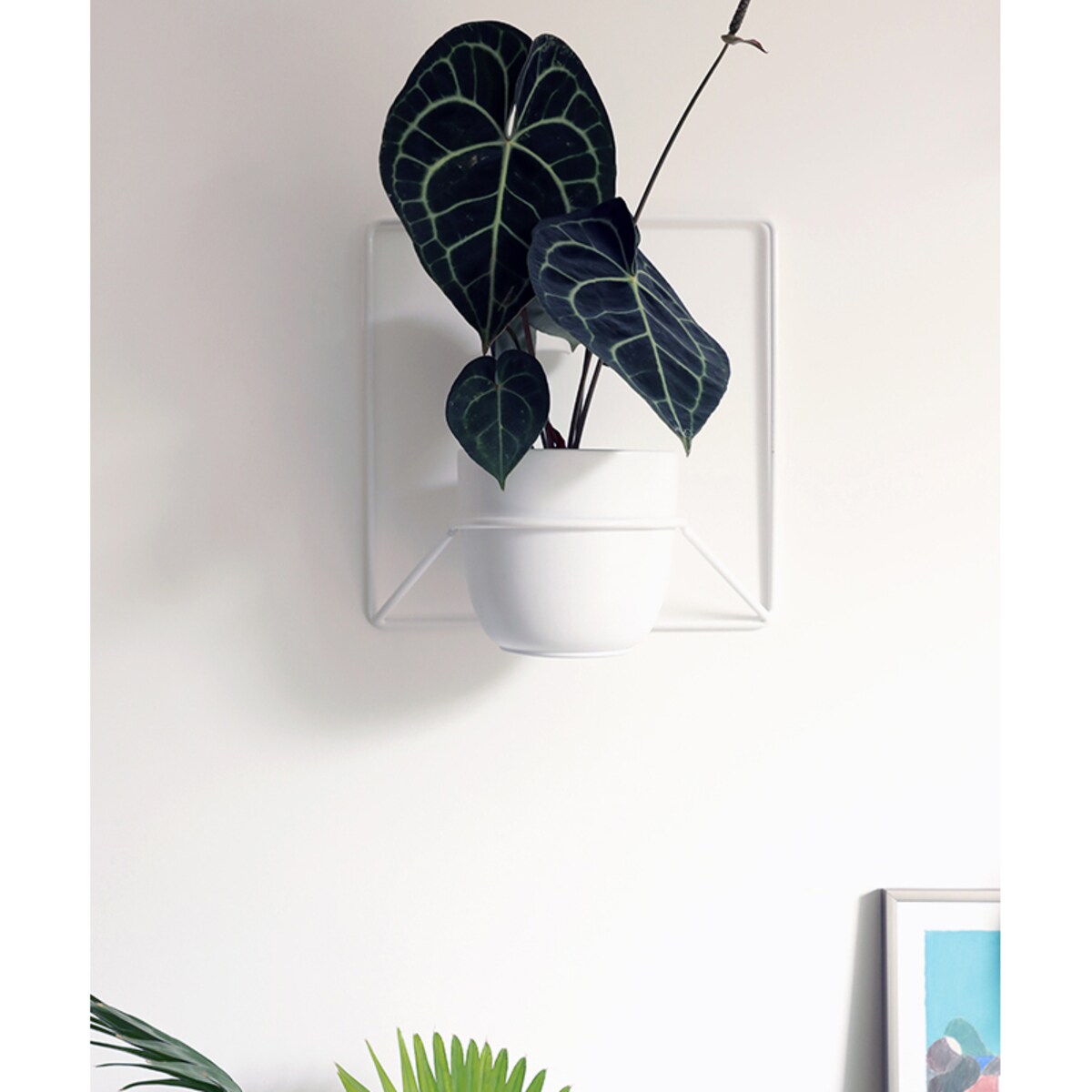 Kwietnik Jeno biały