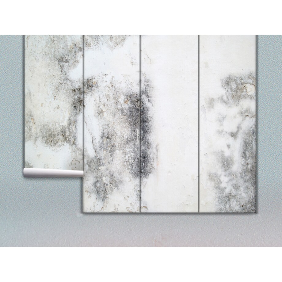 Tapeta Biały beton, 416x254cm