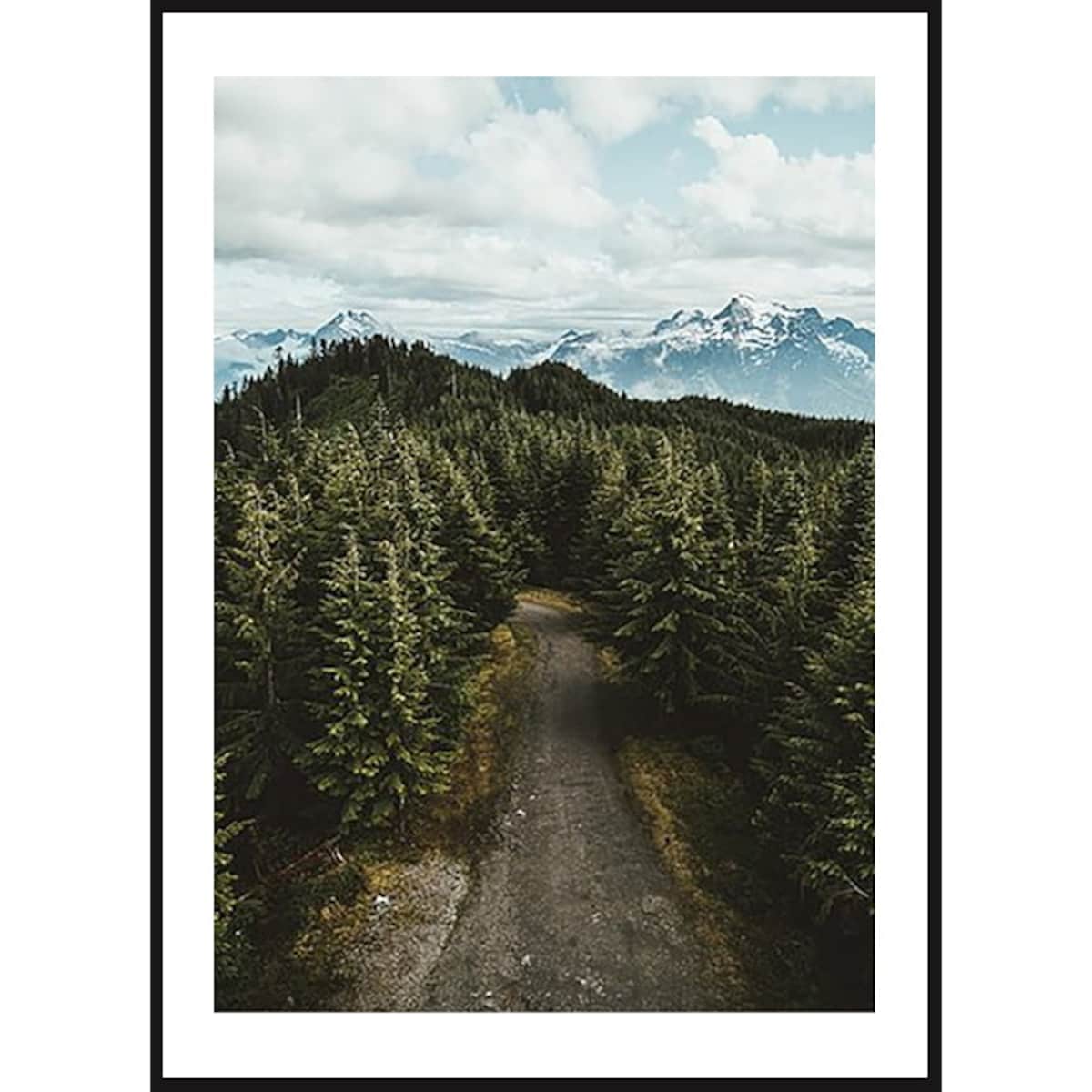 Poster Story, Plakat, Obraz - Las u Podnóża Alp, wymiary 70 x 100 cm