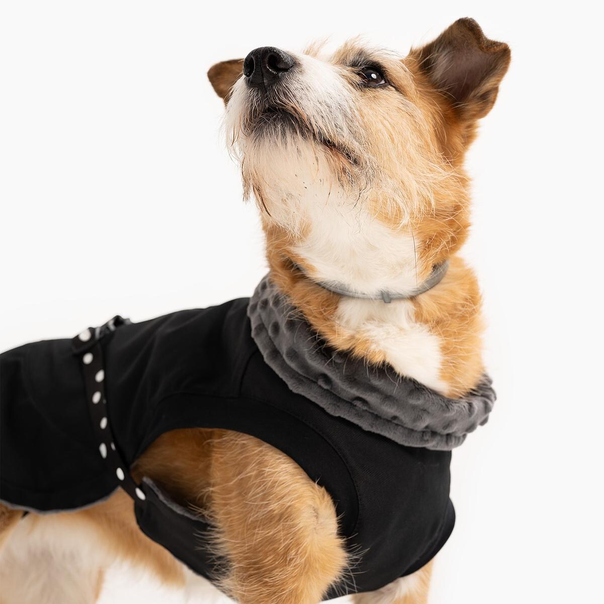 Kurtka dla psa "Psygarnij kropka" - Rozmiar: L