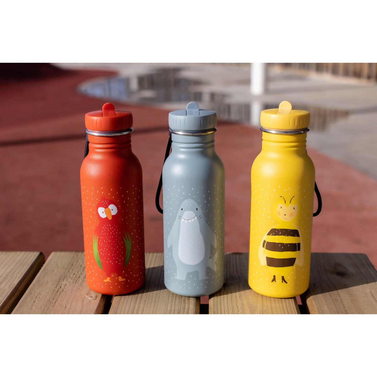 Butelka bidon 500 ml - Papuga