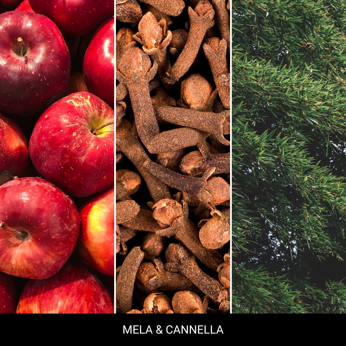 Millefiori uzupełniacz do lampy katalitycznej