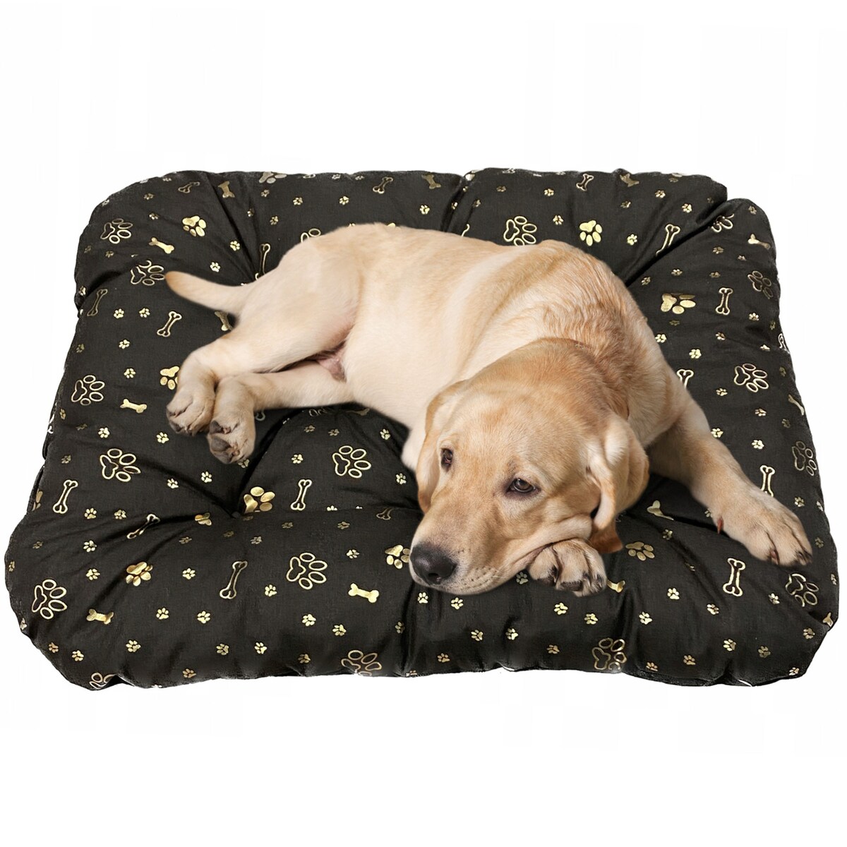 Legowisko Dla Psa Poduszka Posłanie Wytrzymałe 70X50 Cm Kość Złota