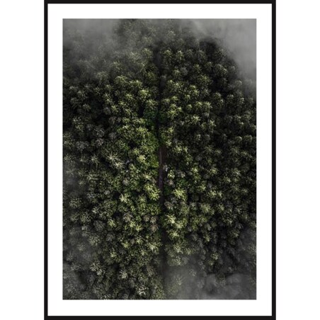 Poster Story, Plakat - Ciemny Las, wymiary 60 x 84 cm