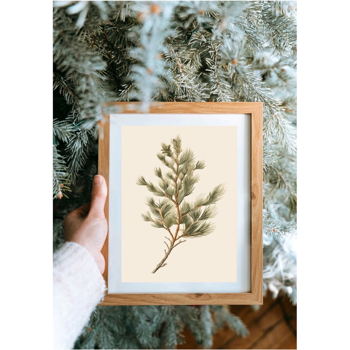 Poster Story, Plakat, Obraz - Gałązka Sosny na Beżowym Tle, wymiary 42 x 60 cm