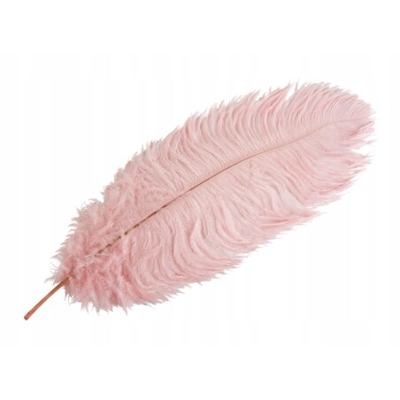 PIÓRO STRUSIE dekoracyjne RÓŻOWE 45cm