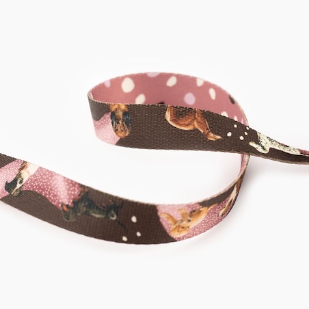 Obroża dla psa lub kota "Dobry, taki nie za słodki" - Szerokość taśmy: 25mm, Rozmiar: M