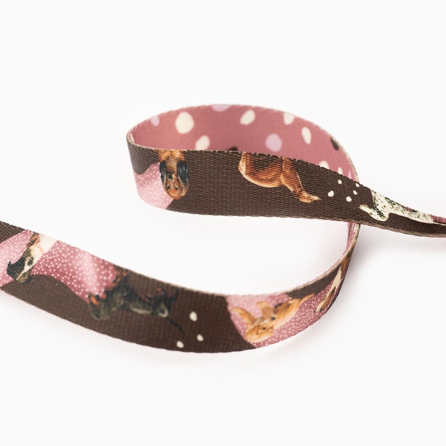 Obroża dla psa lub kota "Dobry, taki nie za słodki" - Szerokość taśmy: 25mm, Rozmiar: M