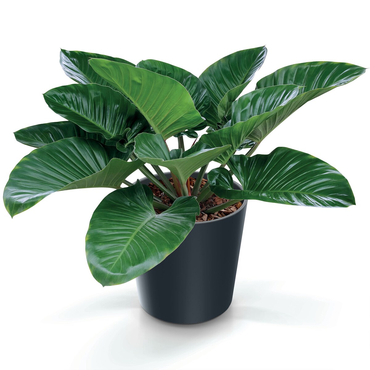 Doniczka Donica Ogrodowa 30 Cm Okrągła Na Taras Do Ogrodu Domu Antracytowa