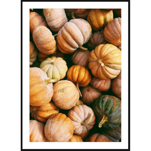 Poster Story, Plakat, Obraz - Dynie Pokryte Mrozem, wymiary 30 x 42 cm