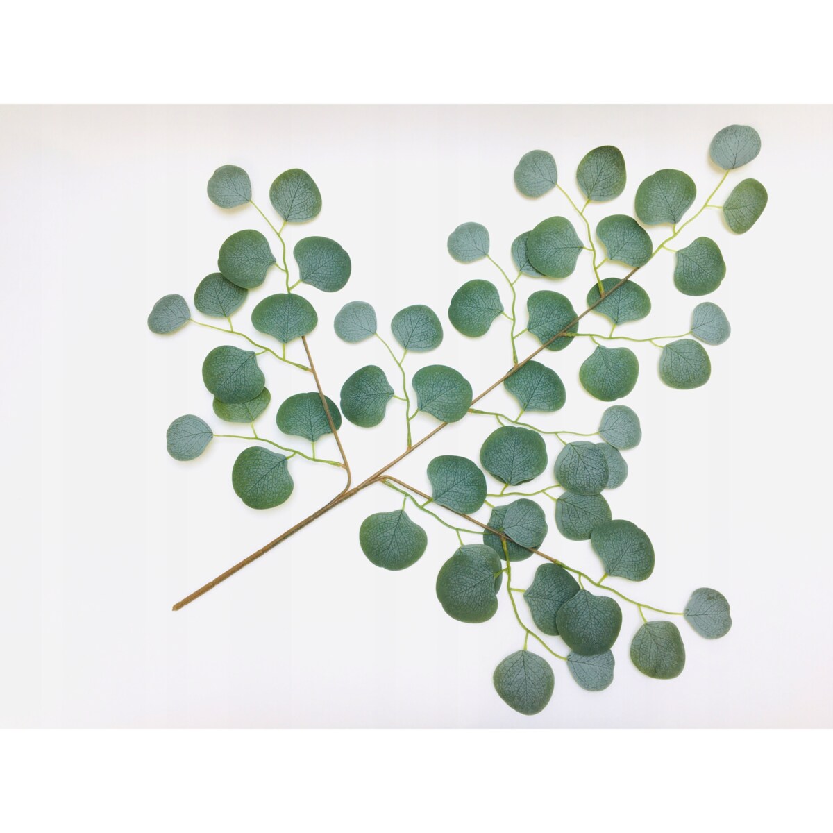 DUŻA ŁODYGA LIŚCIE EUKALIPTUS gałązka do wiązanki dekoracji stroika sztuczn