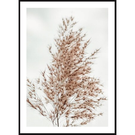 Poster Story, Plakat, Obraz - Sucha Trawa, wymiary 50 x 70 cm