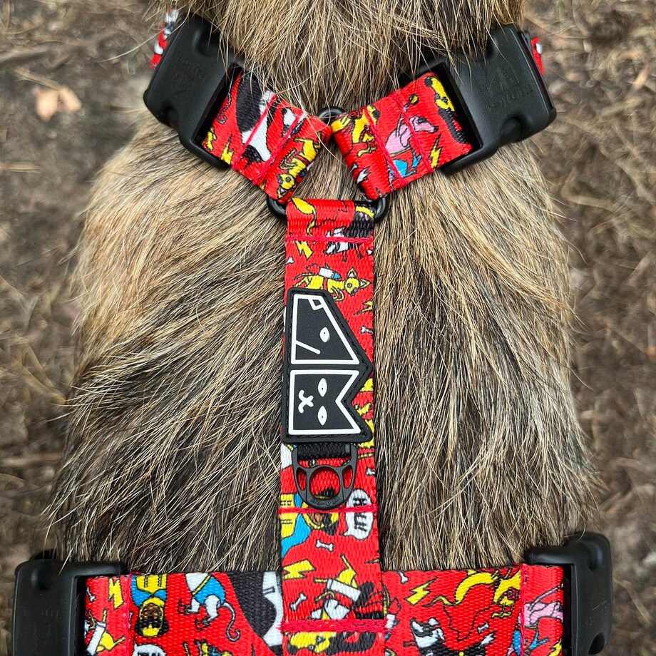 Szelki guard Stay on "Pies, ktory lata najlepsze ma za sobą" - Szerokość taśmy: 25mm, Rozmiar: XL