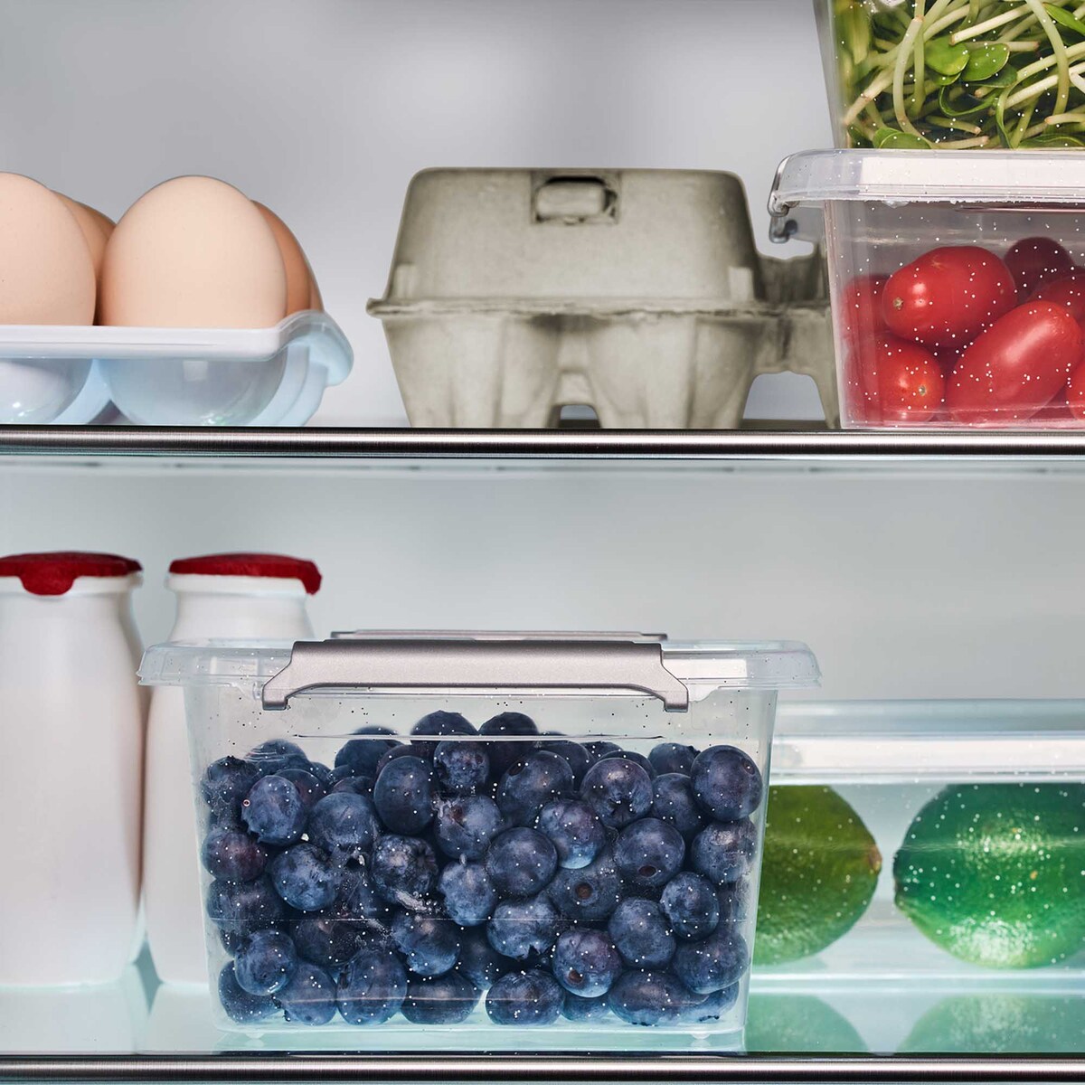 Pojemnik Plastikowy Pudełko Z Pokrywą Na Żywność Antybakteryjne 3X 0,6L