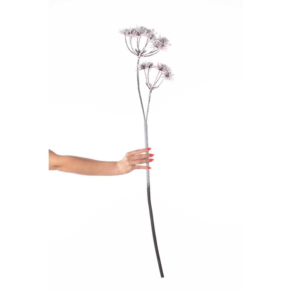 Gałązka Thistle white 100cm boże narodzenie, święta, świąteczne, biały-czarny-brązowy, 100 cm