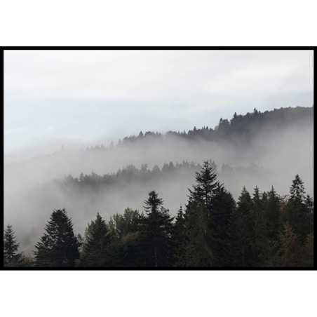 plakat zamglony las 30x40 cm