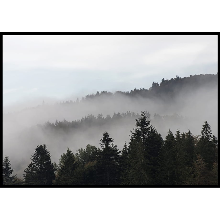 plakat zamglony las 30x40 cm