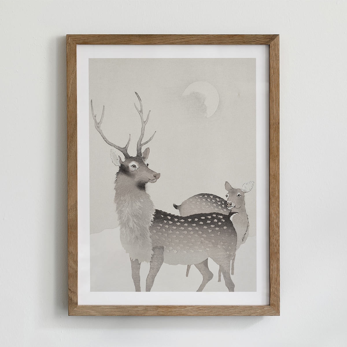 Plakat Jeleń i sarna 21x30cm