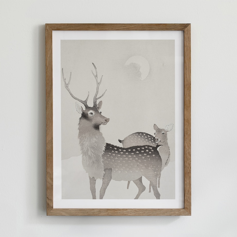 Plakat Jeleń i sarna 21x30cm