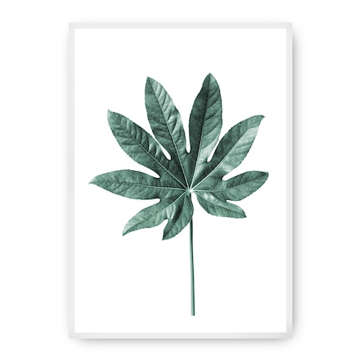Plakat Leaf  Emerald Green, 50 x 70 cm, Ramka: Biała