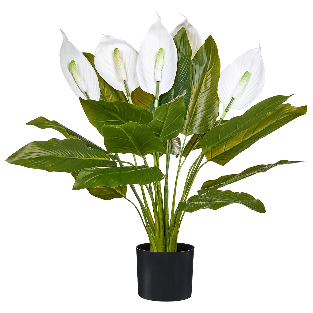 Sztuczna roślina SPATHPHYLLUM 70 cm Zielony