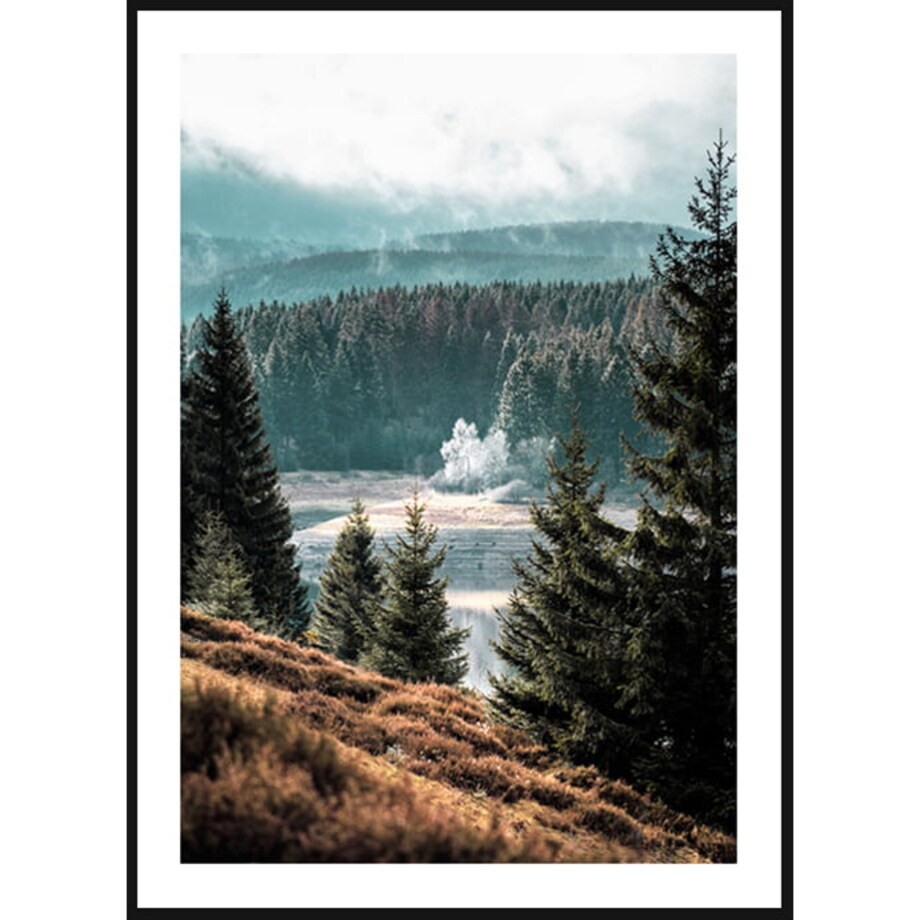 Poster Story, Plakat, Obraz - Leśny Krajobraz, wymiary 21 x 30 cm