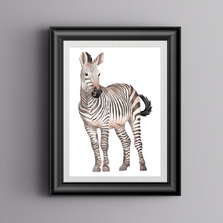 Plakat dla dzieci Zebra 40x50