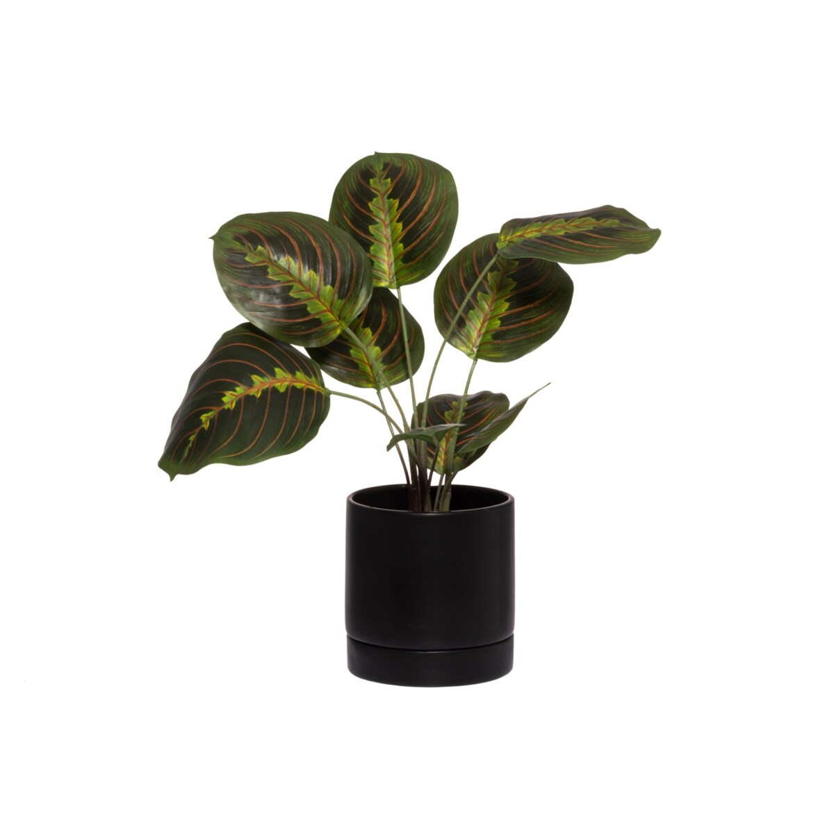 Doniczka z systemem nawadniającym, Ø 15 cm