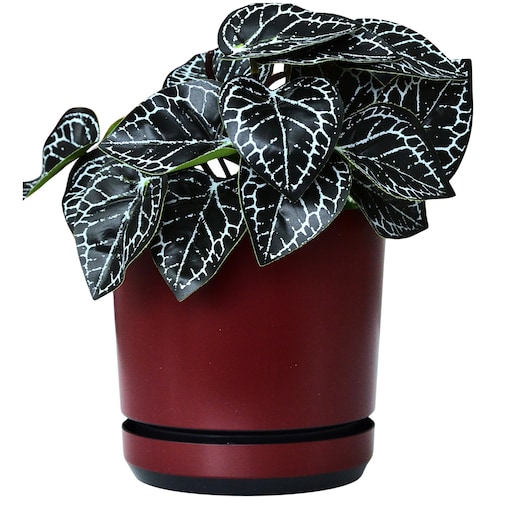 12 Doniczka z podstawką wzór BORDOWY nowoczesna z połyskiem elegancka pół mat