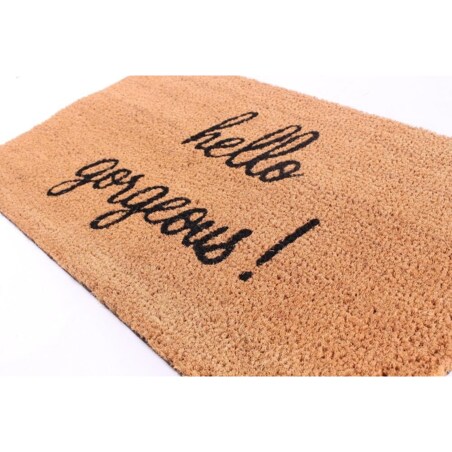 Wycieraczka wejściowa Gorgeous 40x70 cm