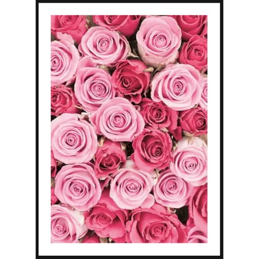 Poster Story, Plakat, Obraz - Dywan z Różowych Piwoni, wymiary 30 x 42 cm