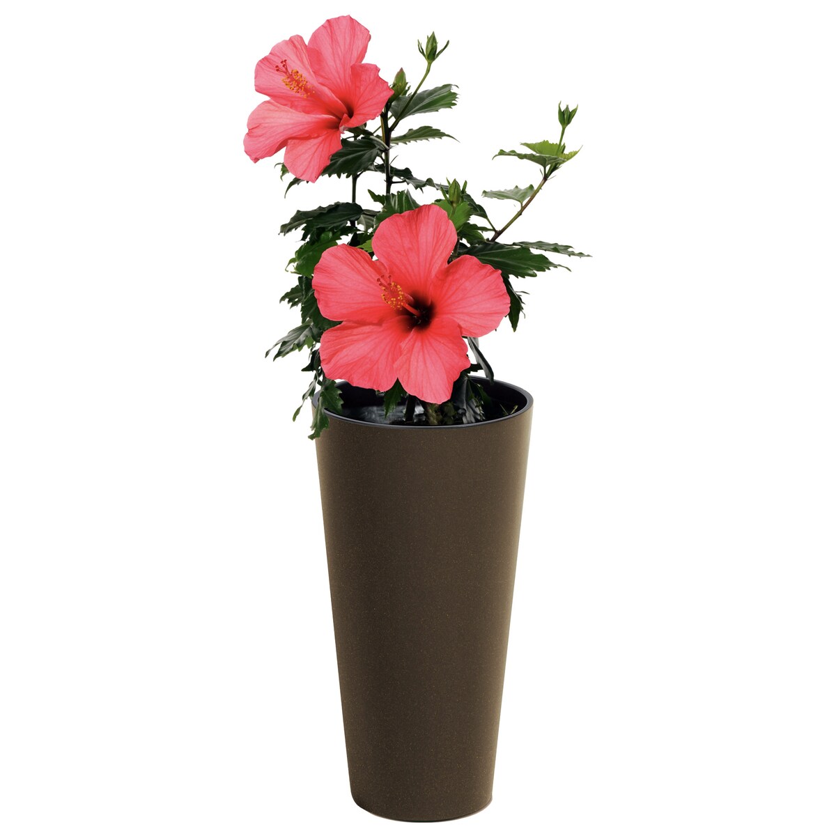 Donica Doniczka Ogrodowa 20 Cm Na Taras Do Ogrodu Domu Eco Wood Kawa