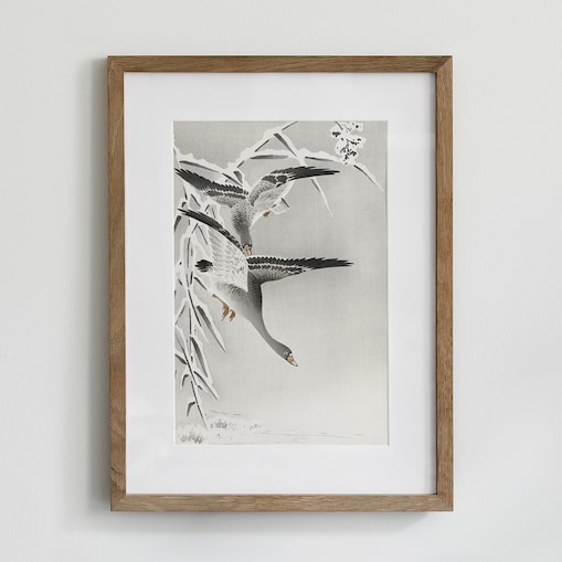 Plakat Gęsi 21x30cm